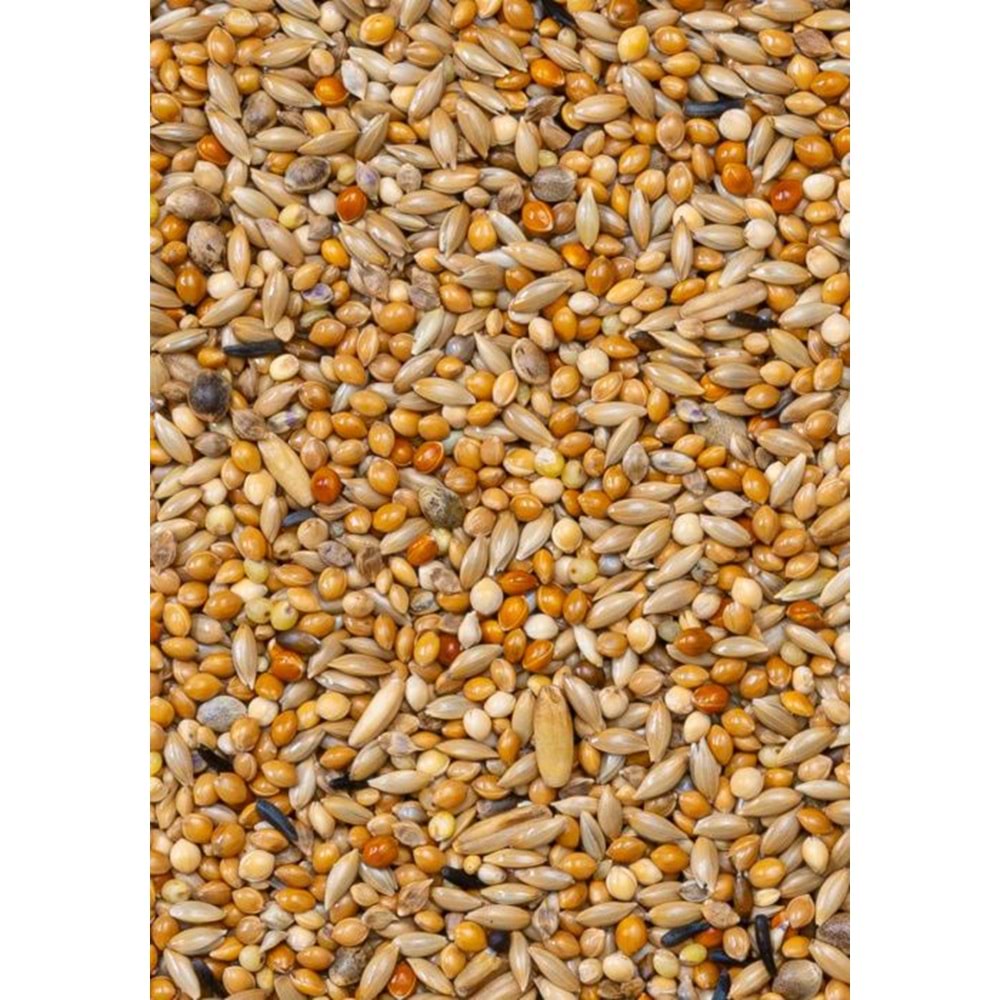 Deli Nature Premium Muhabbet Yemi 1100GR (28421)