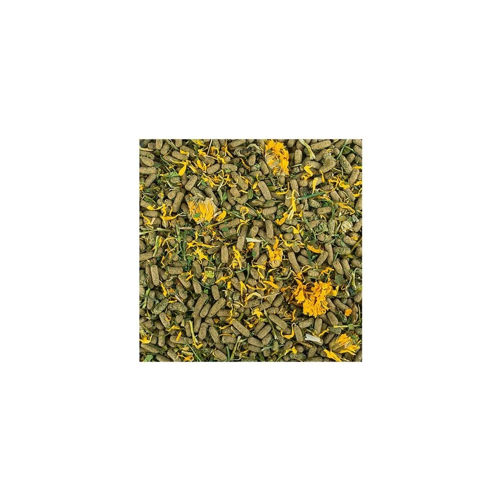 Tropical- Reptiles Herbivore Soft 250Ml/65Gr-11634