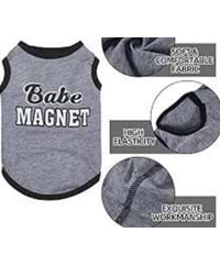Babe Magnet Köpek T-Shirt Küçük Irk Gri L