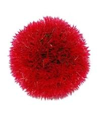 Büyük Top Kırmızı Akvaryum Bitkisi 14 cm(Tabanı Taşlı)