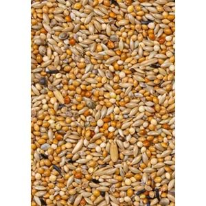 Deli Nature Premium Muhabbet Yemi 1100GR (28421)